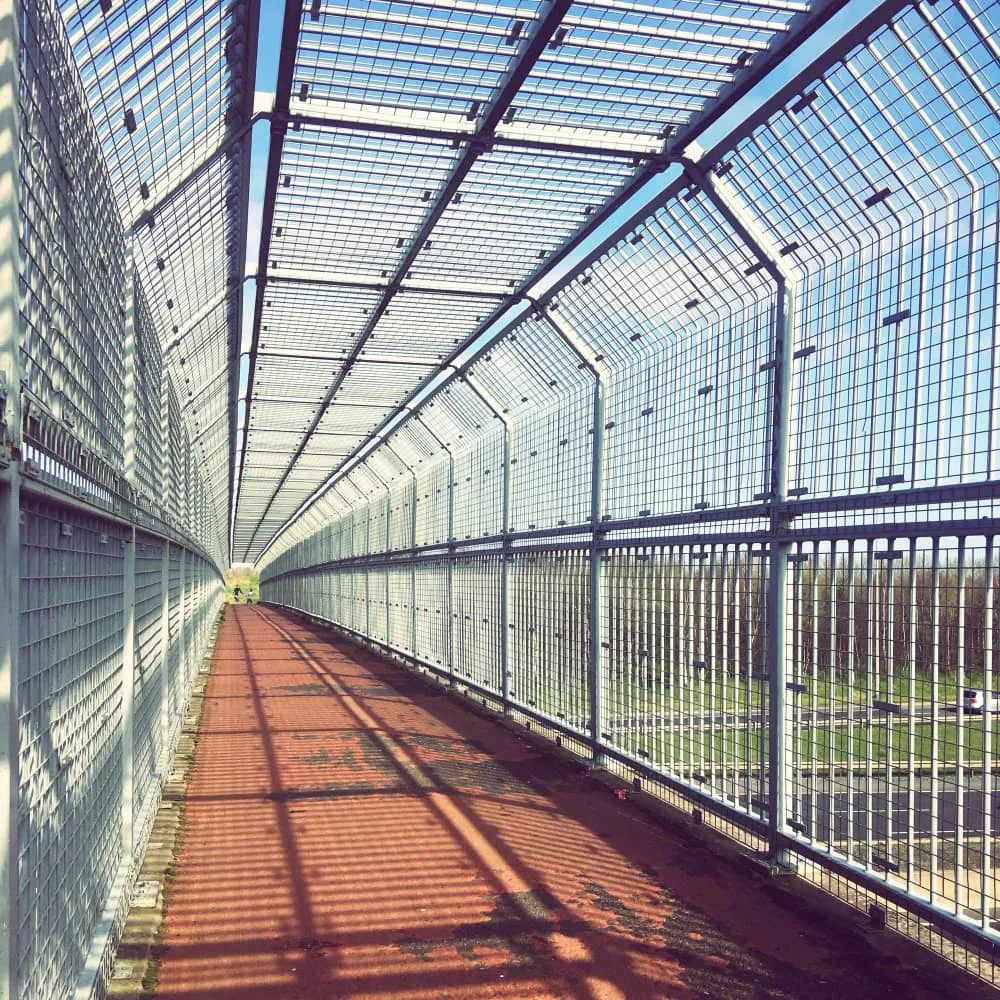Tubular steel fencing